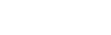 Logo Banian - Level Group